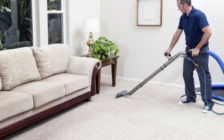 Professional House Cleaner