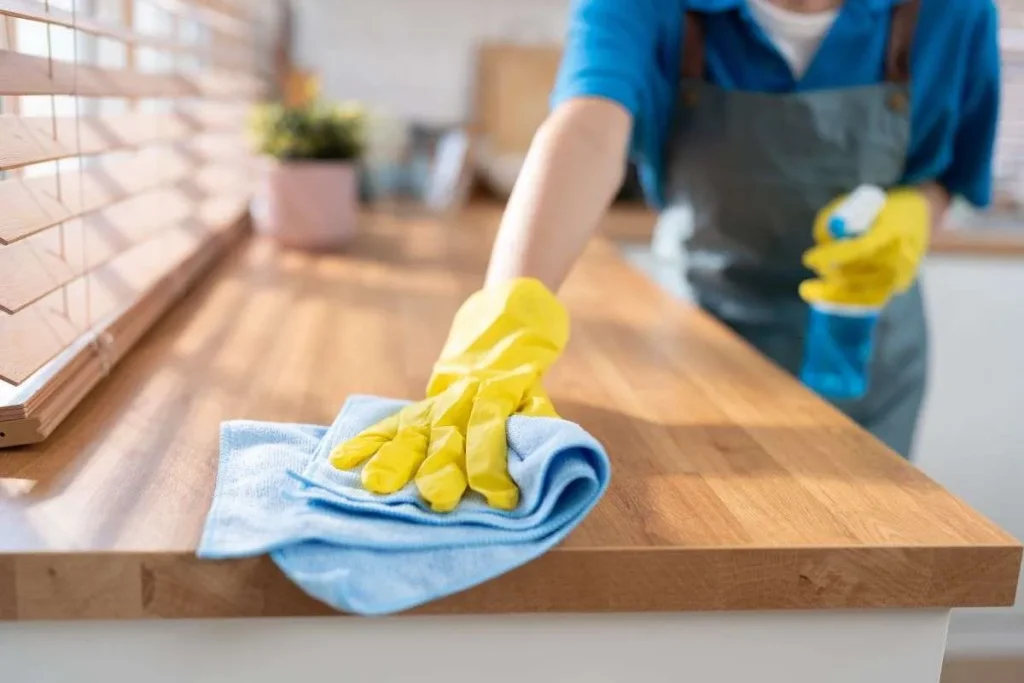 cleaning services